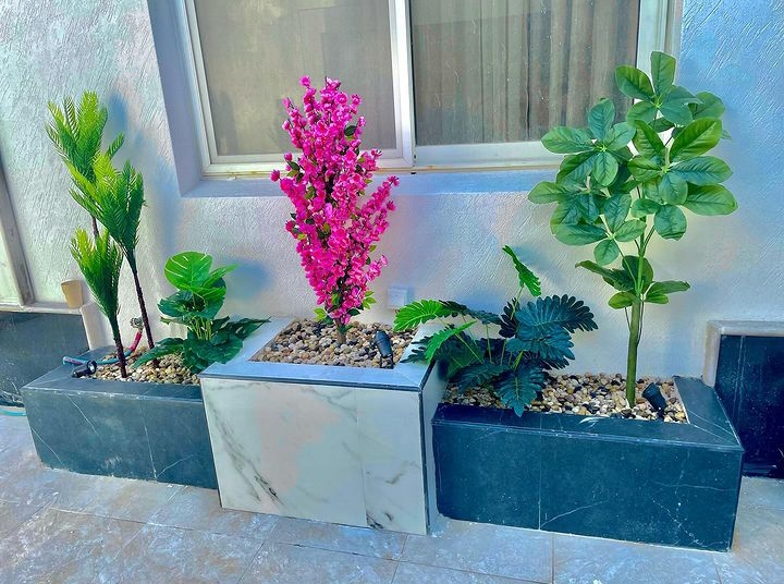 أحواض زرع منزلي